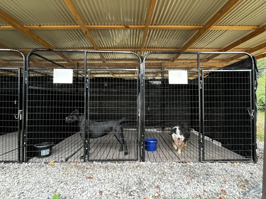 Dogs relaxing in spacious outdoor kennels surrounded by trees and natural greenery at ATL Pet Stop pet boarding facility in Atlanta