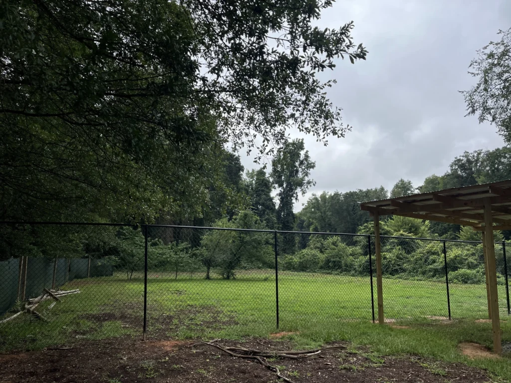 
Securely fenced outdoor area at ATL Pet Stop pet boarding facility in Atlanta ensuring safe off-leash play for boarded dogs