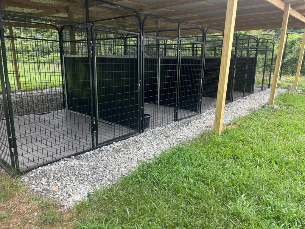 Spacious outdoor dog boarding spaces by trees and natural greenery at ATL Pet Stop pet boarding facility in Atlanta