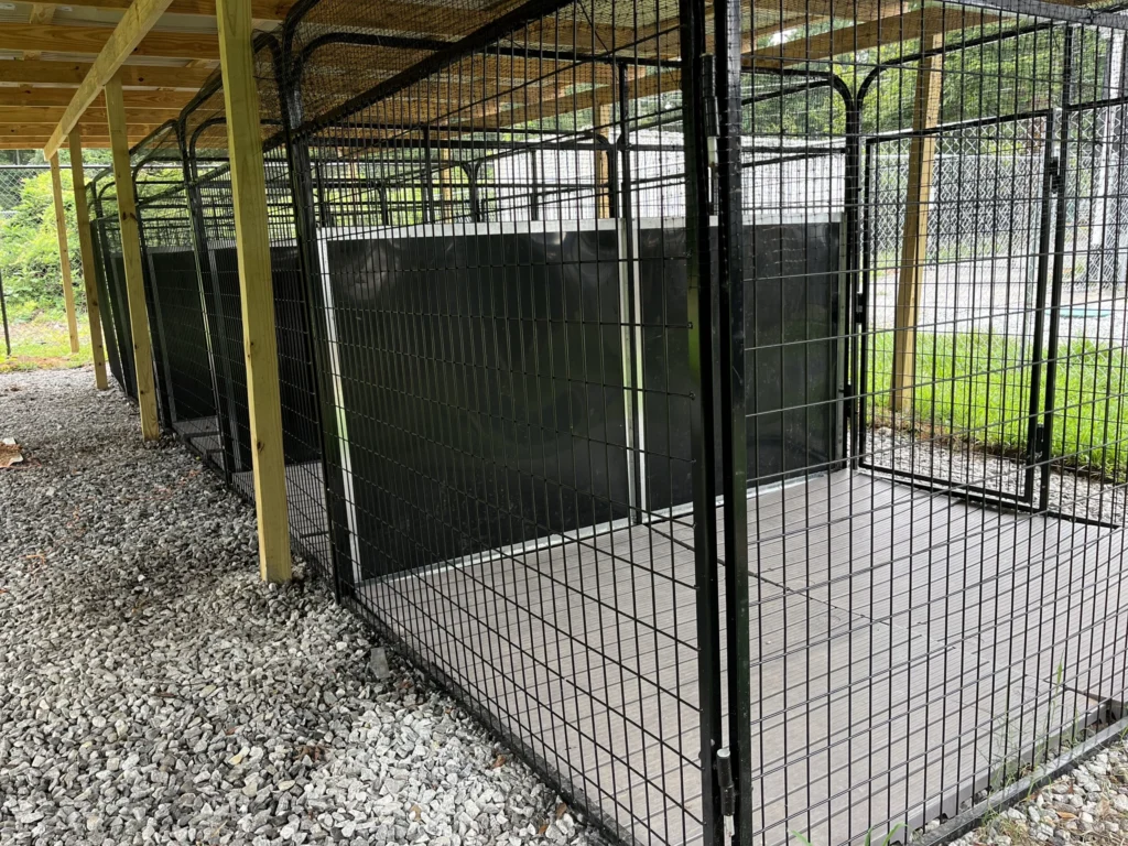 Spacious outdoor dog boarding spaces by trees and natural greenery at ATL Pet Stop pet boarding facility in Atlanta