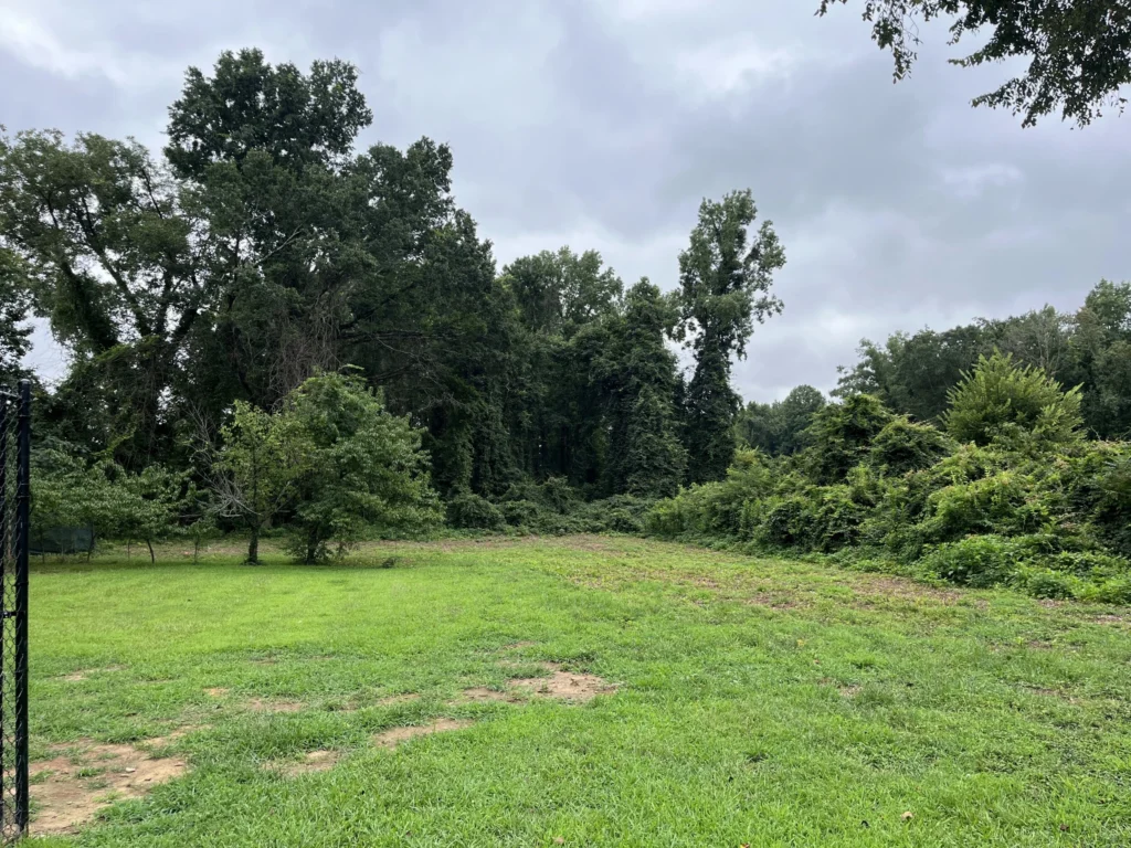 Spacious green outdoor play area at ATL Pet Stop pet boarding facility in Atlanta surrounded by trees and nature