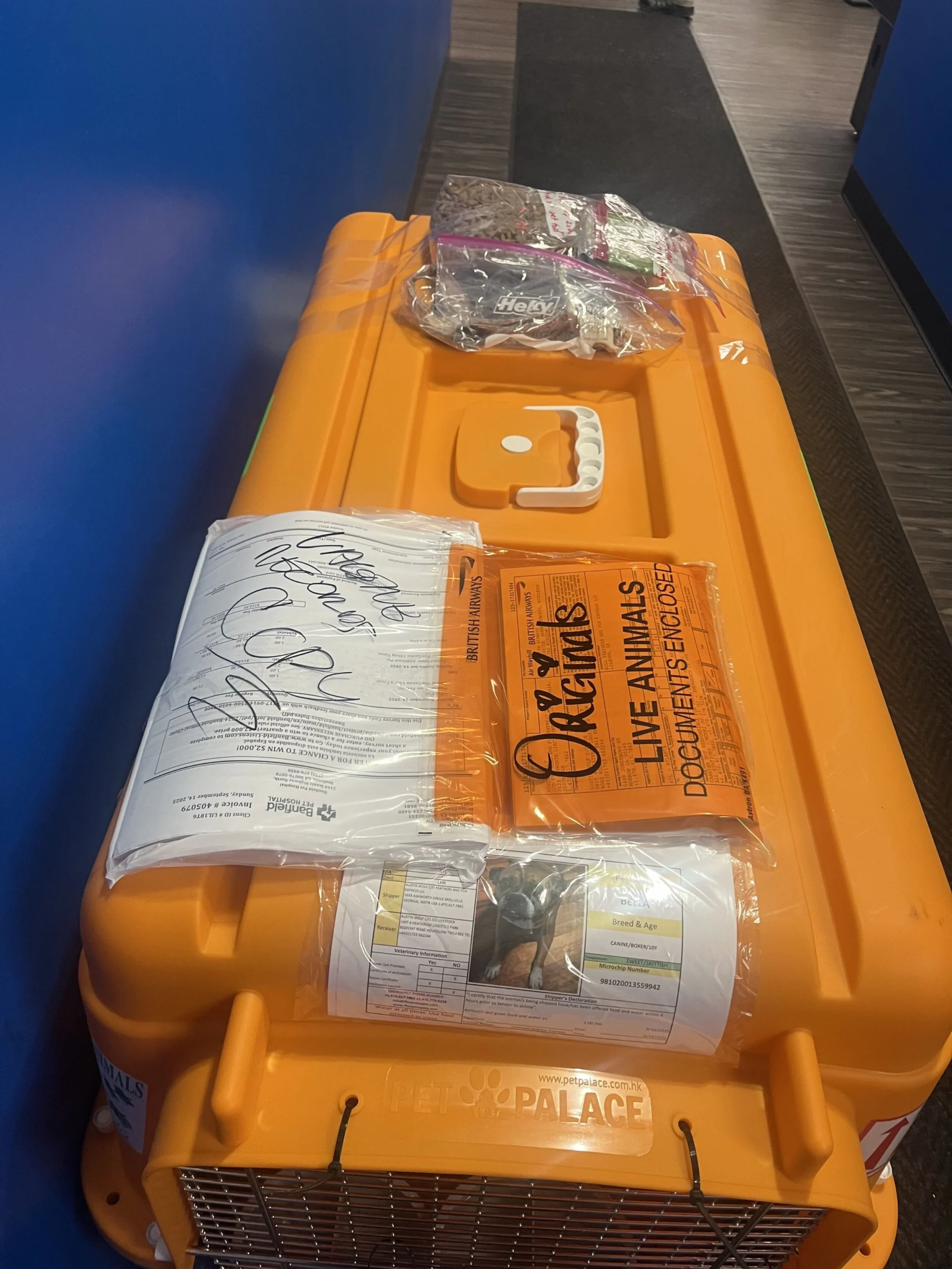 
Properly labelled pet travel crate with required transport documents attached, prepared for airline pet shipping at ATL Pet Stop Atlanta